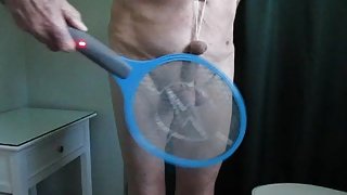 electric fly swatting